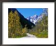 Cyclist On Road To Maroon Bells, Aspen, Colorado by Holger Leue Limited Edition Print