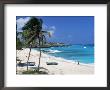 Sam Lords Beach, Barbados, West Indies, Caribbean, Central America by John Miller Limited Edition Pricing Art Print