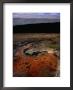 Algae Growth In Pool Near Storihiver Hot Springs, Fjallabak Nature Reserve, Sudurland, Iceland by Grant Dixon Limited Edition Print