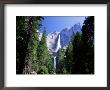 Upper And Lower Yosemite Falls, Swollen By Summer Snowmelt, Yosemite National Park, California by Ruth Tomlinson Limited Edition Pricing Art Print