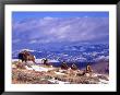 Six Bighorn Rams, Whiskey Mountain, Wyoming, Usa by Howie Garber Limited Edition Print