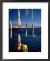 Fishing Lures Hanging With Ocean Behind, Cape Cod, Massachusetts, Usa by Stephen Saks Limited Edition Print