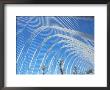 The Umbracle, City Of Arts And Sciences, Valencia, Spain by Marco Simoni Limited Edition Print