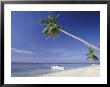 Alona Beach, Panglao Island, Off Coast Of Bohol, Philippines, Southeast Asia by Robert Francis Limited Edition Print