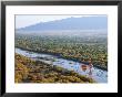 Hot Air Balloons, Albuquerque, New Mexico, Usa by Michael Snell Limited Edition Print