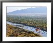 Hot Air Balloons, Albuquerque, New Mexico, Usa by Michael Snell Limited Edition Pricing Art Print