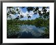 Clouds Reflect On Water Framed By Tree Branches by Steve Winter Limited Edition Print