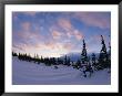 Sunset Along The Snow-Covered Shores Of Hudson Bay by Paul Nicklen Limited Edition Print
