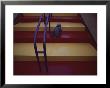 A Young Child Crawls Up Brightly Colored Stairs by Jodi Cobb Limited Edition Print