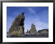 Sea Stacks Along Shores Of Olympic National Park, Washington, Usa by Paul Souders Limited Edition Print