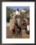Elephant Transport For Tourists, Amber Palace, Jaipur, Rajasthan State, India by Robert Harding Limited Edition Print