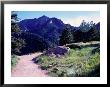Path To Mountains, Boulder by Michael Brown Limited Edition Print