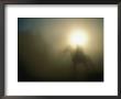 A Person On A Horse Is Silhouetted In The Fog by Sisse Brimberg Limited Edition Pricing Art Print