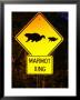 Marmot Crossing Sign Near Maroon Bells, Aspen, Colorado by Holger Leue Limited Edition Print