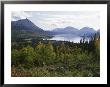 Northern Coniferous Forest Around Lake Skilak On The Kenai Peninsula, Alaska, Usa by Jeremy Bright Limited Edition Print