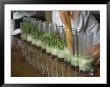 Row Of Glasses On A Bar With Barman Preparing Mojito Cocktails, Habana Vieja, Havana, Cuba by Eitan Simanor Limited Edition Print