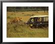 Tourist Views Lions From A Safari Jeep by Richard Nowitz Limited Edition Print