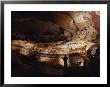 Paleolithic Bulls And Other Animals Crowd Calcite Walls At Lascaux, France by Sisse Brimberg Limited Edition Print