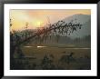 Elk Graze In A Meadow Under A Sky Dimmed By Smoke From A Forest Fire by Michael S. Quinton Limited Edition Print