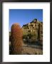 Cacti In Desert Landscape With Vivid Blue Sky by Richard Nowitz Limited Edition Print