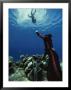 A Diver On The Sea Floor Gestures To Another Diver Who Is Descending by Bill Curtsinger Limited Edition Pricing Art Print