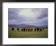 Farm Scene West Of Chiloguin, Oregon, Looking Toward Mount Mcloughlin by Phil Schermeister Limited Edition Print