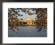 Cherry Trees In Bloom Around The Tidal Basin And Jefferson Memorial by Charles Kogod Limited Edition Print