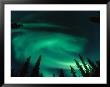 Aurora Borealis Swirling In The Night Sky, Alaska by Michael S. Quinton Limited Edition Pricing Art Print