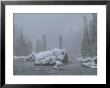 Snow Storm, Firehole River by Raymond Gehman Limited Edition Print