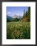Old Park Service Cabin In The Cut Bank Valley Of Glacier National Park In Montana by Chuck Haney Limited Edition Print