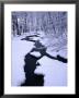 Snow Almost Covering Skaran Creek, Sodersen National Park, Skane, Sweden by Anders Blomqvist Limited Edition Pricing Art Print