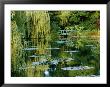 Subtle Light And Shade Reveal Impressionist Painter Claude Monets Self-Designed Gardens At Giverny by Farrell Grehan Limited Edition Pricing Art Print