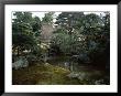 Garden, Old Imperial Palace, Kyoto, Japan by Robert Harding Limited Edition Print