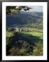 Tintern Abbey, Gwent, South Wales, Wales, United Kingdom by Roy Rainford Limited Edition Print