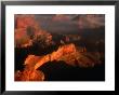 Sunlight Colours The Canyon Rims, Grand Canyon National Park, Usa by Mark Newman Limited Edition Print