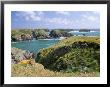 Port Goulphar, Belle Ile En Mer, Breton Islands, Morbihan, Brittany, France Europe by Bruno Barbier Limited Edition Print