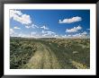 Dirt Road Across Volcanic Desert, Arizona by David Edwards Limited Edition Pricing Art Print