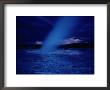 A Moonlit Geyser Erupts by Raymond Gehman Limited Edition Pricing Art Print