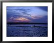 People Walking By Water At Sunset, Scituate, Ma by Rick Berkowitz Limited Edition Print