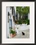 Street View With Black Cat, Manolates, Samos, Aegean Islands, Greece by Walter Bibikow Limited Edition Pricing Art Print