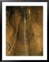 At 281 Feet, Mystery Falls Is The Deepest Pit In Tennessee by Stephen Alvarez Limited Edition Pricing Art Print