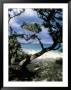 Southeast Coast, Island Of Sardinia, Italy, Mediterranean by Oliviero Olivieri Limited Edition Print