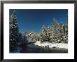 Madison River, Gallatin National Forest, Montana by Raymond Gehman Limited Edition Print