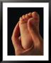 A Babys Toes by Phil Schermeister Limited Edition Print