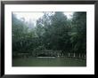 A Rainstorm In El Yunque, Puerto Rico by Taylor S. Kennedy Limited Edition Print