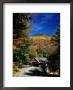 A Covered Bridge by Richard Nowitz Limited Edition Print