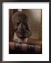 Death Mask Of Sir Isaac Newton Beside Original Hand-Written Copy Of His Masterpiece The Principia by Jim Sugar Limited Edition Pricing Art Print