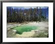 Emerald Spring, The Green Colour Caused By Blue Water And Yellow Sulphur by Robert Francis Limited Edition Print