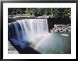 Cumberland Falls On The Cumberland River, It Drops 60 Feet Over The Sandstone Edge, Kentucky, Usa by Anthony Waltham Limited Edition Print