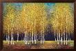 Golden Grove by Melissa Graves-Brown Limited Edition Print